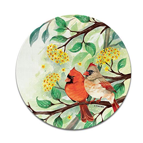 Red Cardinal Birds in Summer