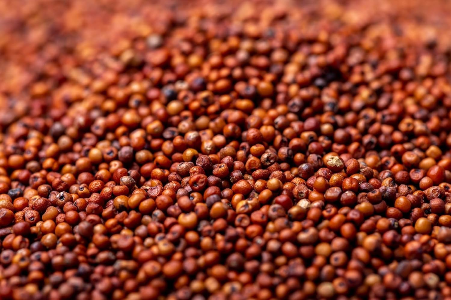 Organic Finger Millet Powder (Ragi Flour) - Gluten-Free Whole Grain Superfood for Baking, Smoothies & Baby Food | High in Calcium & Iron | Vegan, Keto & Paleo Friendly | Perfect for Roti, Porridge & Healthy Snacks