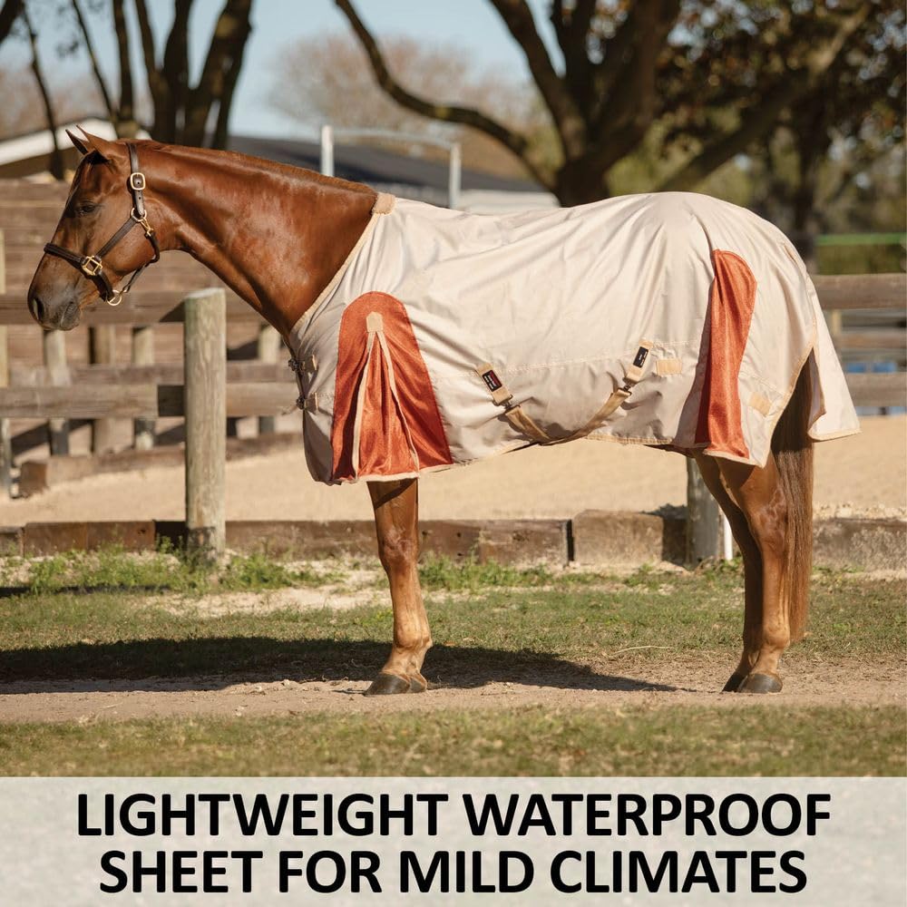 Schneiders Airmesh II Euro Surcingle Horse Turnout Sheet - Breathable Lightweight Horse Blanket for Mild Weather | Perfect for Training, Riding & Stable Use