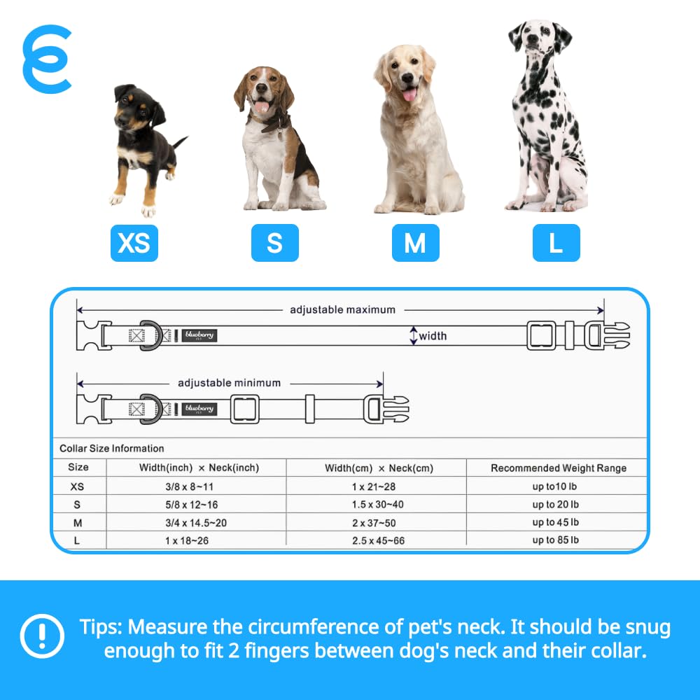 Blueberry Pet Personalized Martingale Safety Training Dog Collar - Adjustable Custom ID Collar for Medium Dogs with Embroidered Pet Name & Phone Number | Turquoise Color | Perfect for Walks, Training & Outdoor Adventures