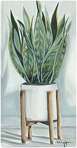 Potted Snake Plant