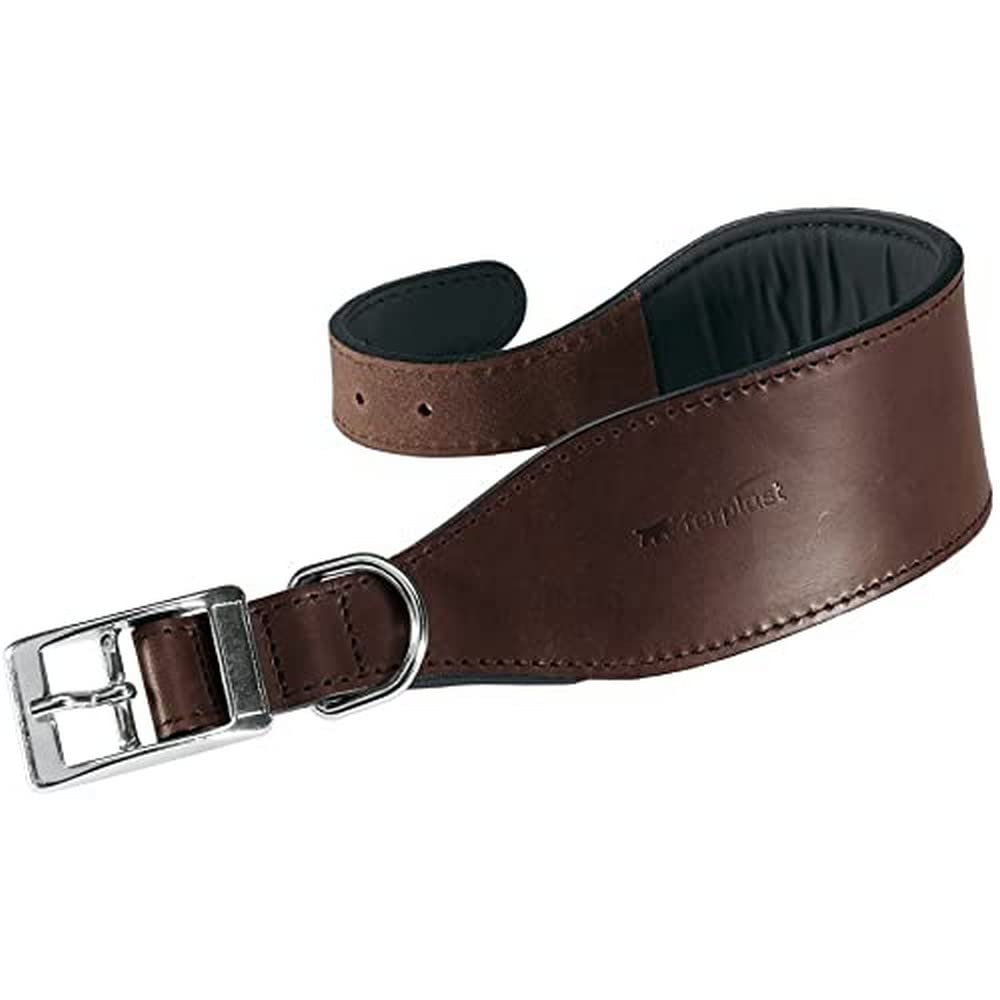 Premium Ferplast VIP Dog Collar - Adjustable Nylon Pet Collar with Metal Buckle for Small & Medium Dogs | Perfect for Daily Walks, Training & Outdoor Adventures