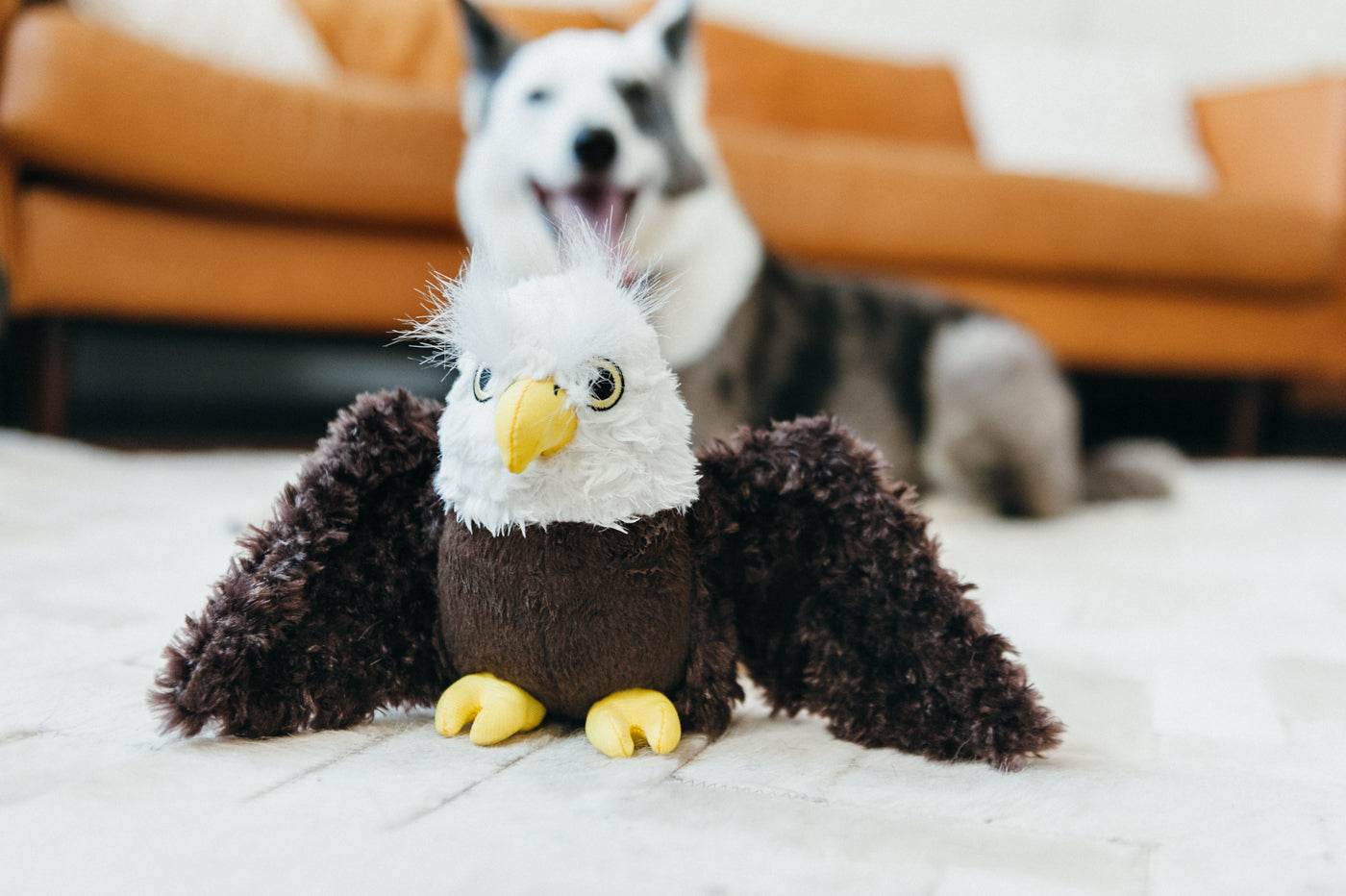 Edgar the Eagle Plush Dog Toy - Fetching Flock™ Chew-Resistant Squeaky Stuffed Animal for Medium & Large Dogs | Perfect for Fetch, Tug-of-War & Cuddling | Pet P.L.A.Y.