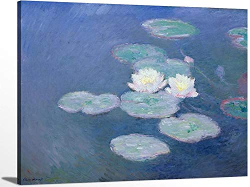 Water Lilies Evening Effect