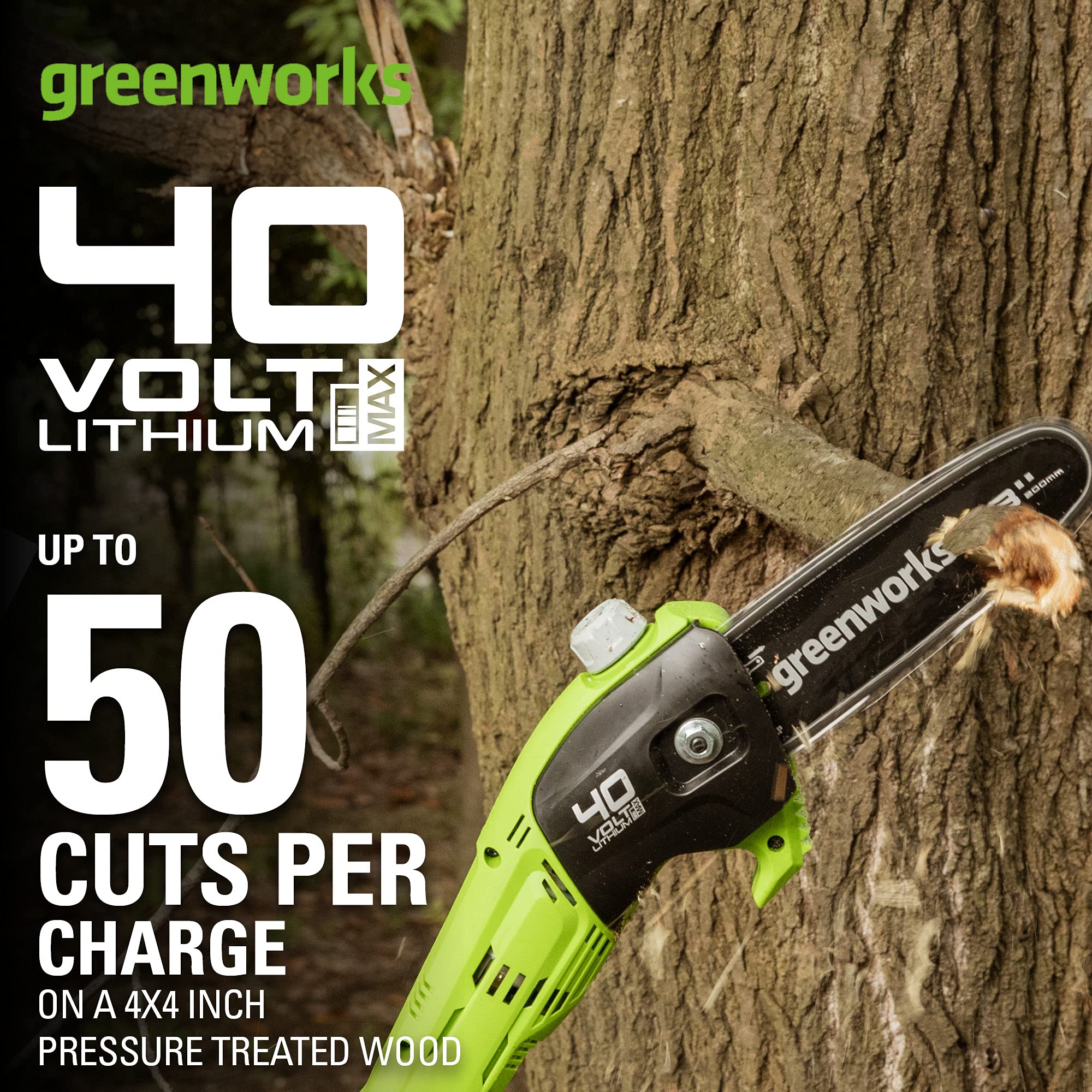 Greenworks 40V 8-Inch Cordless Polesaw with 2.0Ah Battery & Charger Included - Lightweight Tree Trimming Tool for Home Garden & Yard Maintenance (Model PS40B210)