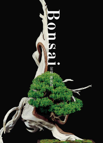 Premium Bonsai Tree Kit - Complete Starter Set with Pots, Tools & Care Guide - Perfect for Home Decor, Office Zen Garden & Gift for Plant Lovers