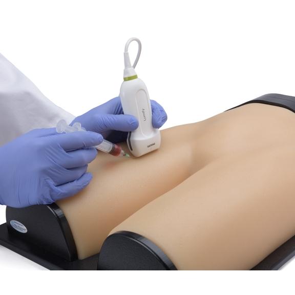 Gen II Femoral Vascular Access & Regional Anesthesia Ultrasound Training Model - Medical Simulation for Ultrasound-Guided Procedures Practice
