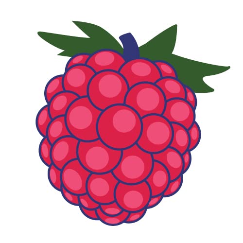 Cedarwood Raspberry