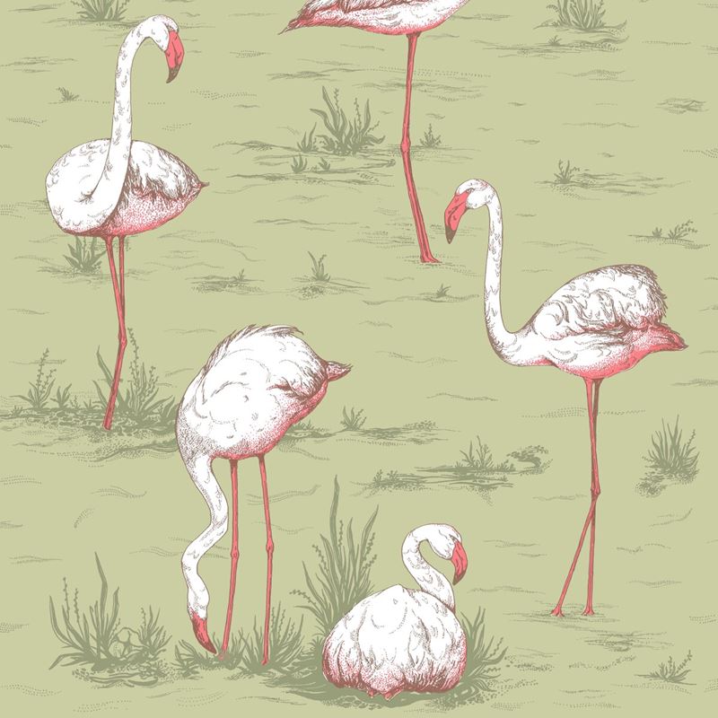 Cole and Son Flamingos Olive Wallpaper - Premium Peel and Stick Wallpaper for Home Decor, Living Room, Bedroom, Nursery