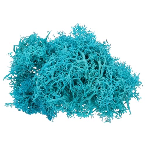 Dark Cyan