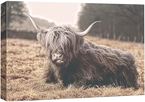 Bs21-2105-animal-fo02