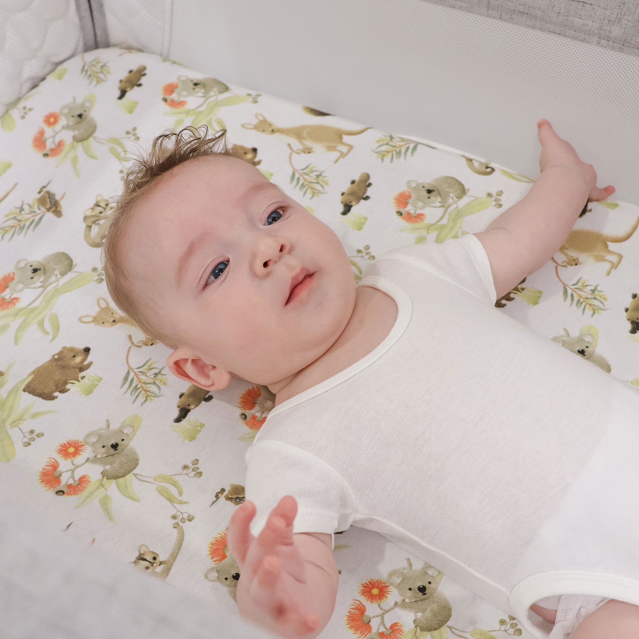 Aussie Animals Co-Sleeper Bedside Crib Jersey Fitted Sheet - Soft & Breathable for Baby Bassinet, Cradle, and Portable Sleeper - Perfect for Nursery, Travel, and Overnight Stays