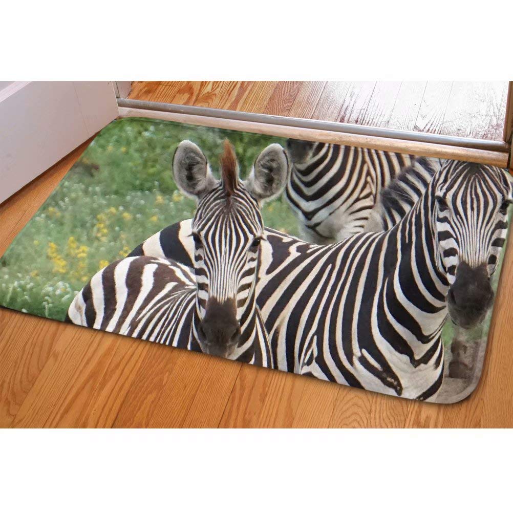 Zebra Print Doormat - Non-Slip Flannel for Home Entrance & Balcony