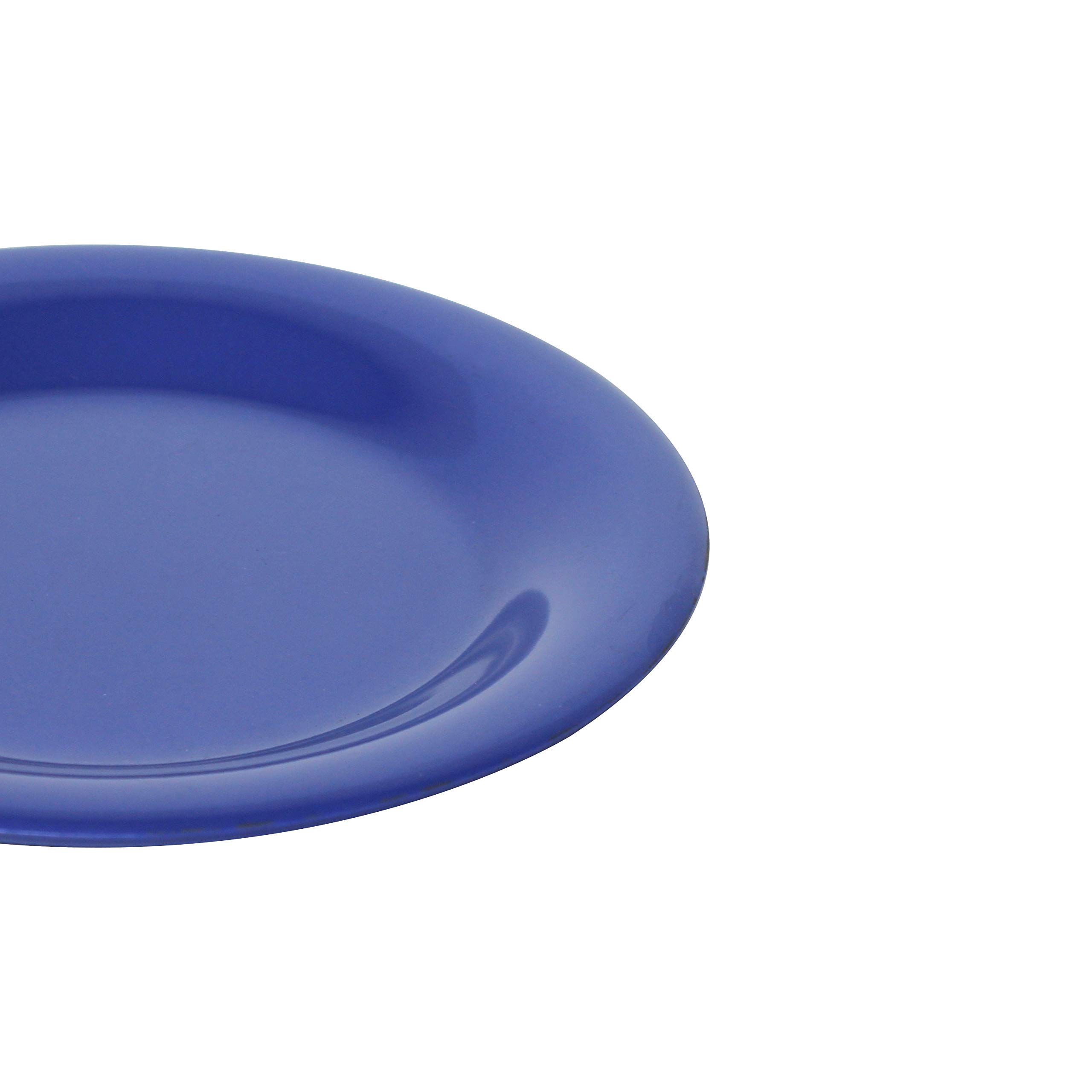 Purple Melamine Dinnerware Set - 12 Inch Wide Rim Round Plates (Set of 12) - Durable & Lightweight for Outdoor Dining, Picnics, and Party Serving