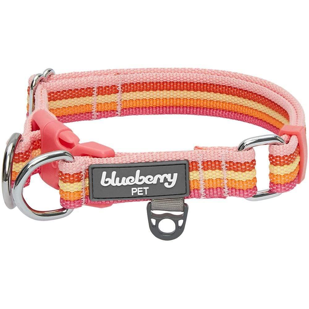 Blueberry Pet 3M Reflective Adjustable Dog Collar with Rainbow Stripes - Nylon Pet Collar for Small to X-Large Dogs | High Visibility Safety Collar for Night Walks, Jogging & Outdoor Adventures
