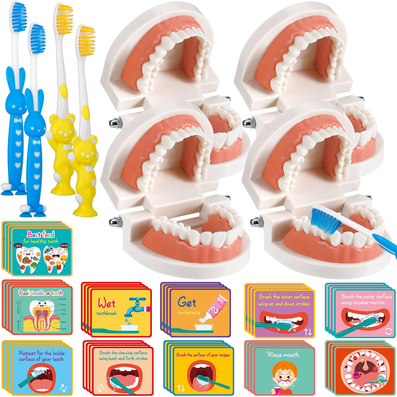 Skylety 4-Piece Kids Dentist Play Set with Dental Teeth Model, Toothbrush & Educational Cards - Standard Size Fake Braces for Child Dental Teaching & Role Play | Perfect for Classroom Demonstrations, Homeschool Learning & Pretend Play