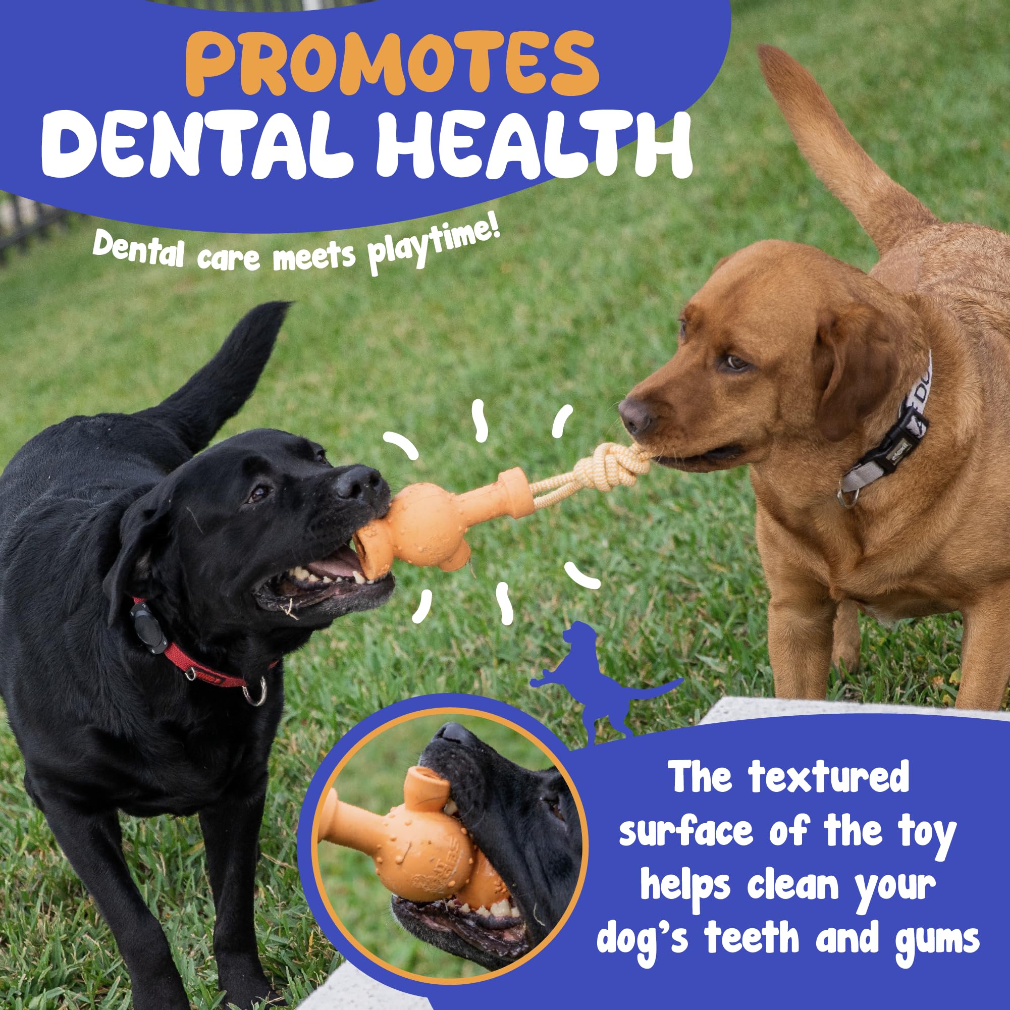 Durable Dog Tug Toy with Rope - Interactive Treat Dispensing Chew Toy for All Breeds & Sizes - Fun Rubber Tug-of-War Toy (Blue & Orange) - Perfect for Playtime, Training & Bonding with Your Dog