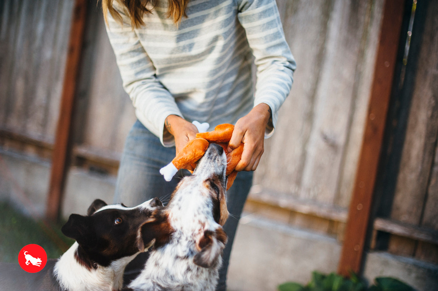 El Pavo Entero Holiday Classic™ Dog Plush Toy - Soft & Durable Chew Toy for Small & Large Dogs | Perfect for Thanksgiving, Christmas & Playtime Fun | Pet P.L.A.Y.