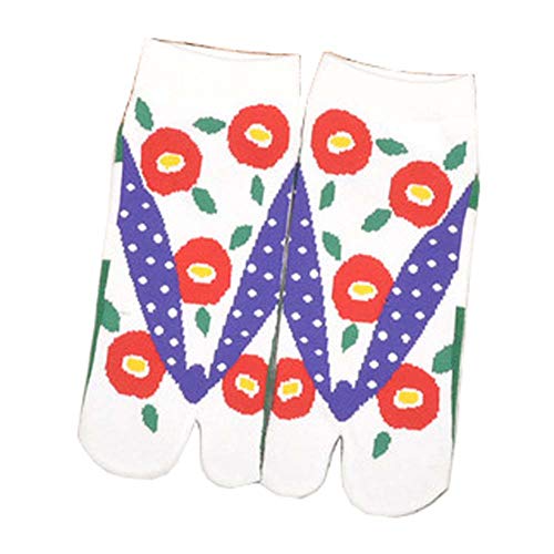 Multicolor-17