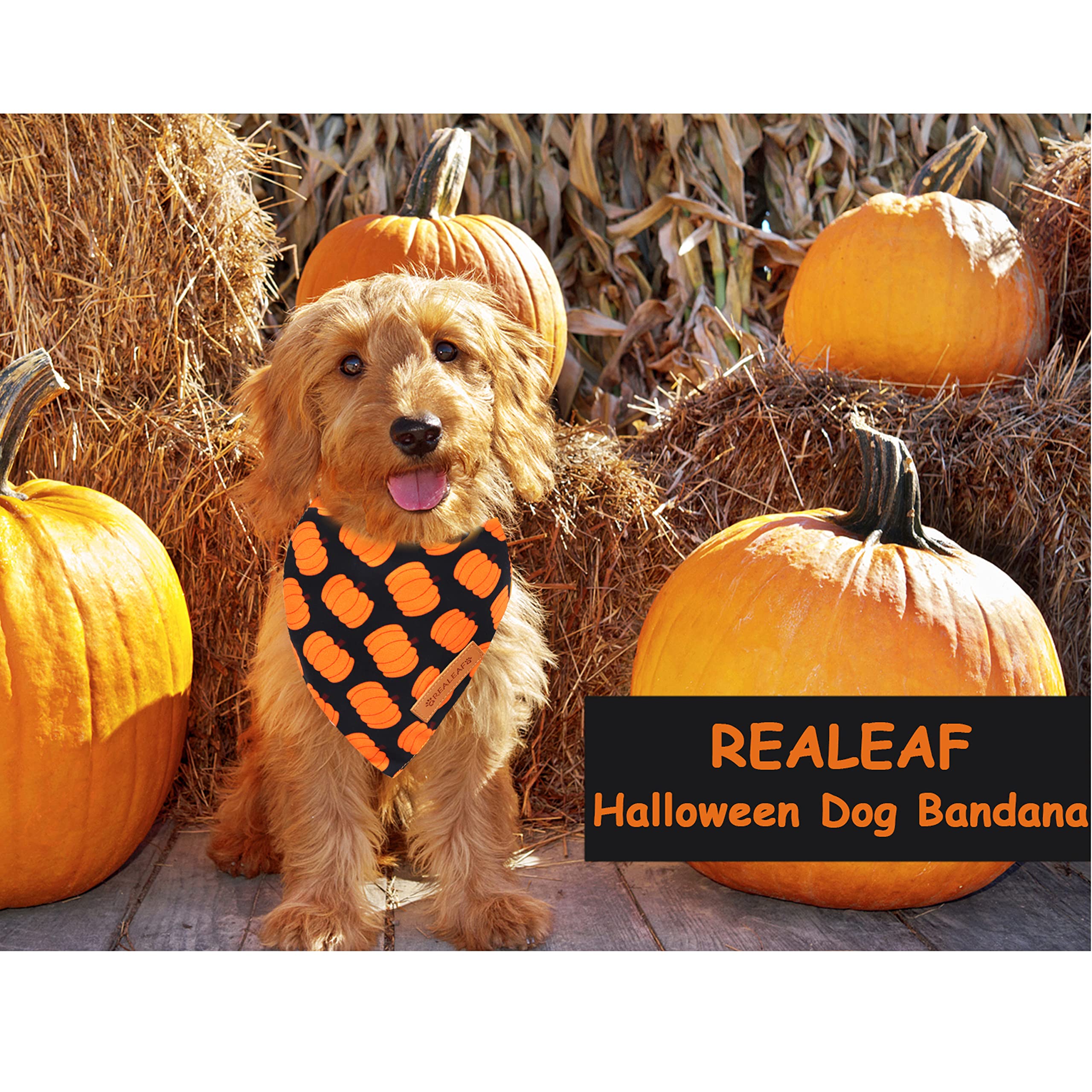 Realeaf Halloween Dog Bandanas 2 Pack - Pumpkin Print Fall Dog Scarf for Small & Medium Dogs - Premium Durable Fabric Pet Bandana for Boys & Girls - Perfect for Halloween Parties, Autumn Walks & Holiday Photos (Small, Orange)