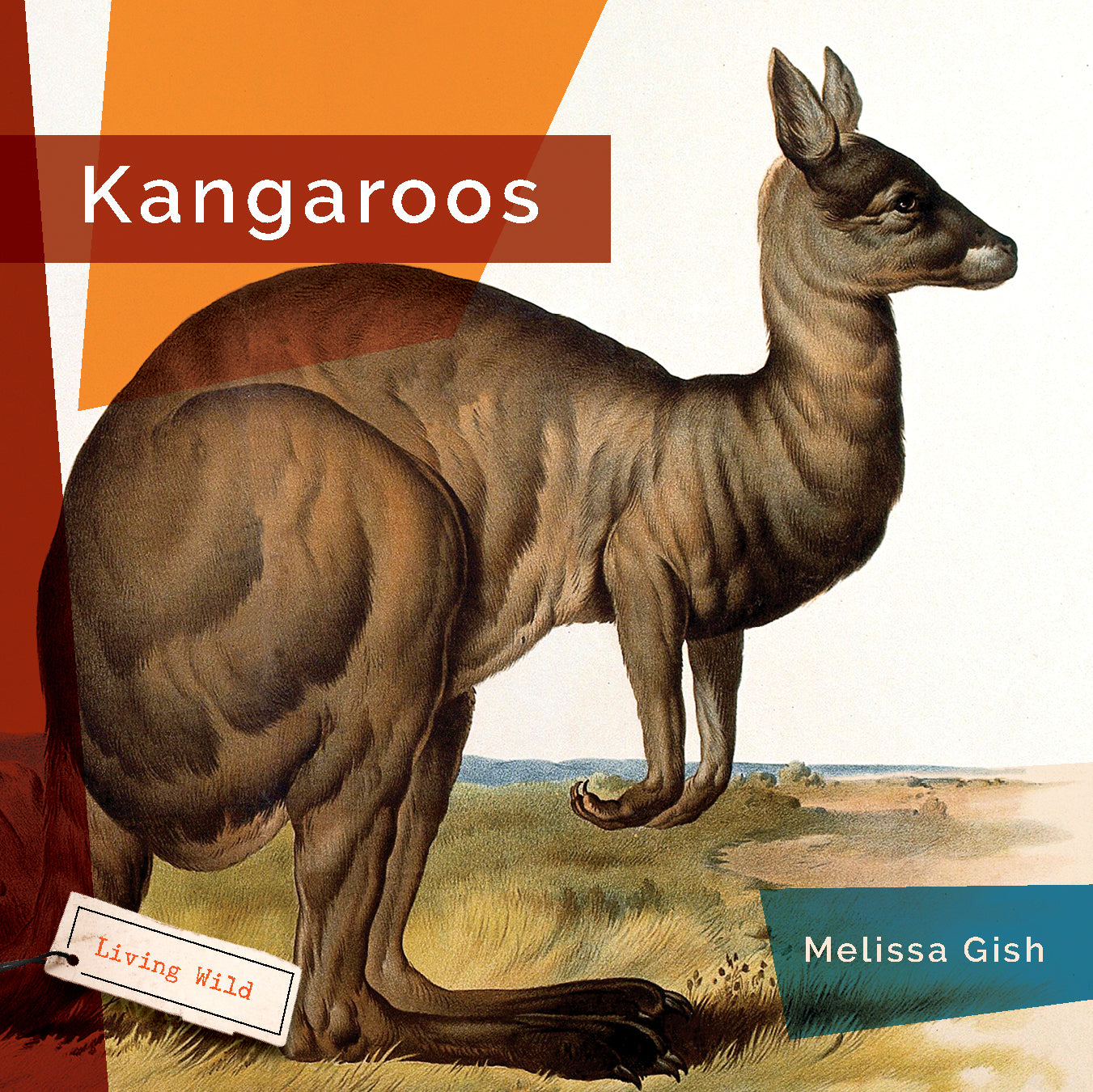 Kangaroos: Fascinating Facts and Photos - 9781640265271 | Wildlife Book for Kids & Adults - Perfect for Learning & Gifts