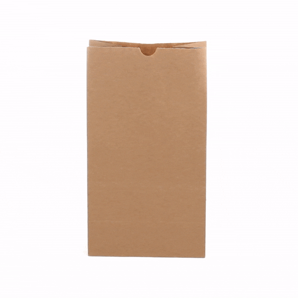Premium Kraft Paper Bags 12 lb - 7