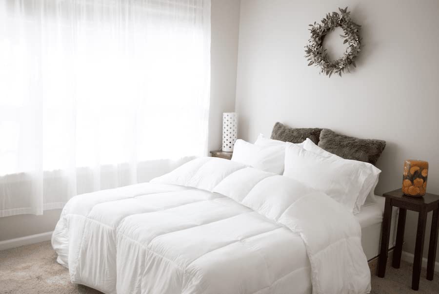 Pillowtex 3-Piece All Season Comforter Set with Matching Pillow Shams - Twin/Twin XL Size Soft Cream Bedding for Cozy Sleep & Guest Room Decor