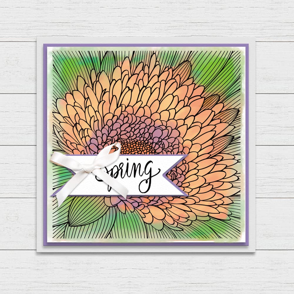 Sunflower Clear Rubber Stamps for Card Making, Scrapbooking & DIY Crafts - Floral Background Transparent Stamps for Photo Albums, Invitations & Handmade Cards - Perfect for Wedding, Birthday & Holiday Greetings