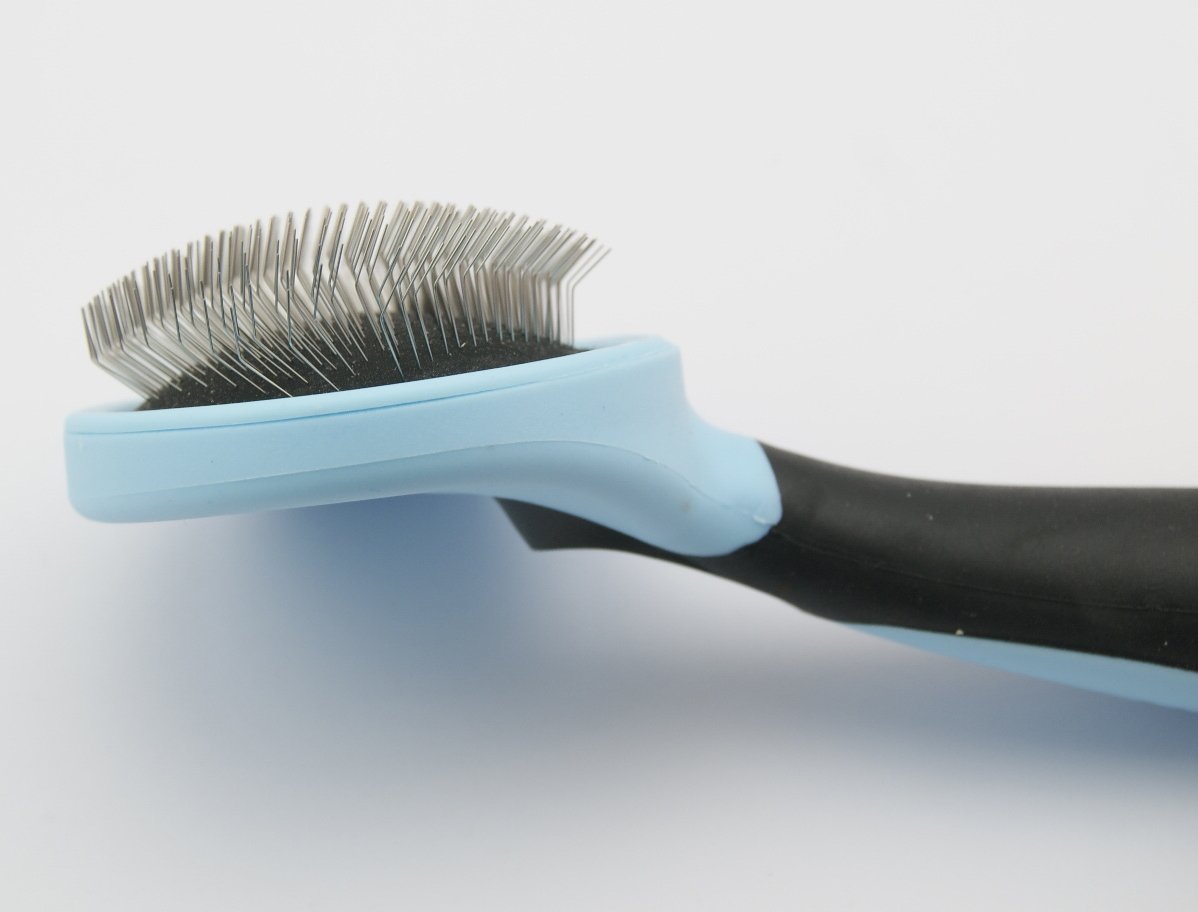 Premium 5-Piece Dog Grooming Kit - Slicker Brush, Dematting Comb, Nail Clippers, Leash (Blue) | Essential Pet Care Tools for Bathing, Brushing & Nail Trimming at Home