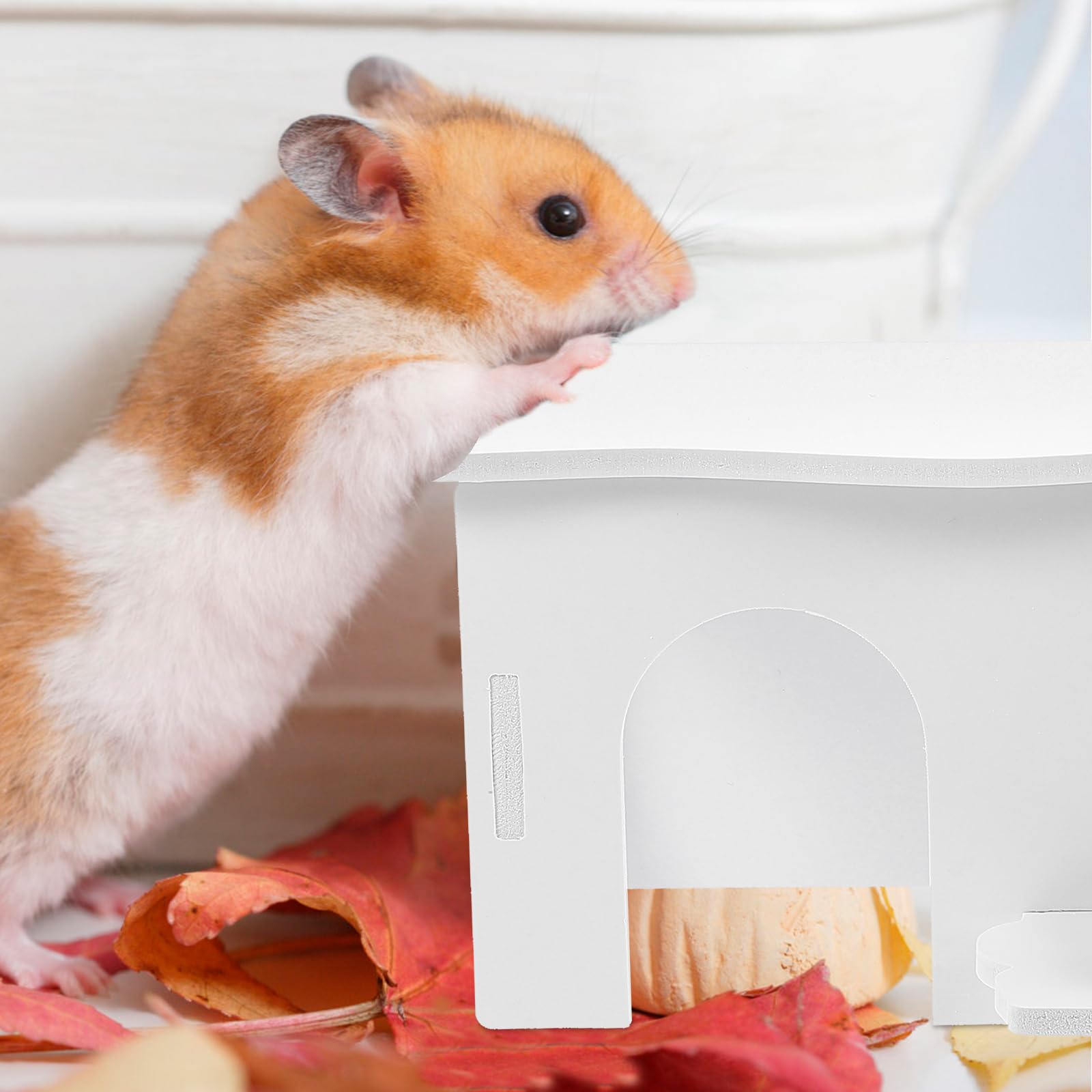 POPETPOP Plastic Hamster Hideout - Small Animal Ladder House for Guinea Pigs, Rats & Birds - Cozy Resting & Play House for Pets | Perfect for Cage Accessories & Small Animal Enrichment