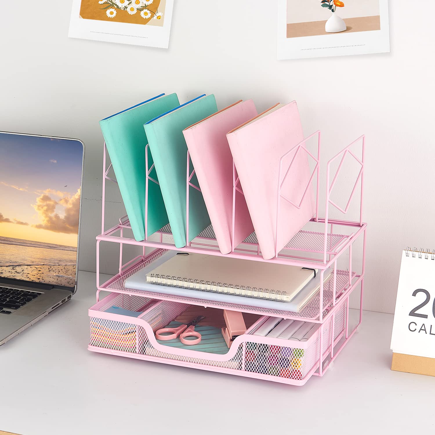Gianotter Office Catalog Racks - 5 Compartment Desk Organizer & Magazine File Holder for Office Supplies (Pink) | Perfect for Organizing Documents, Files, and Stationery on Your Workspace