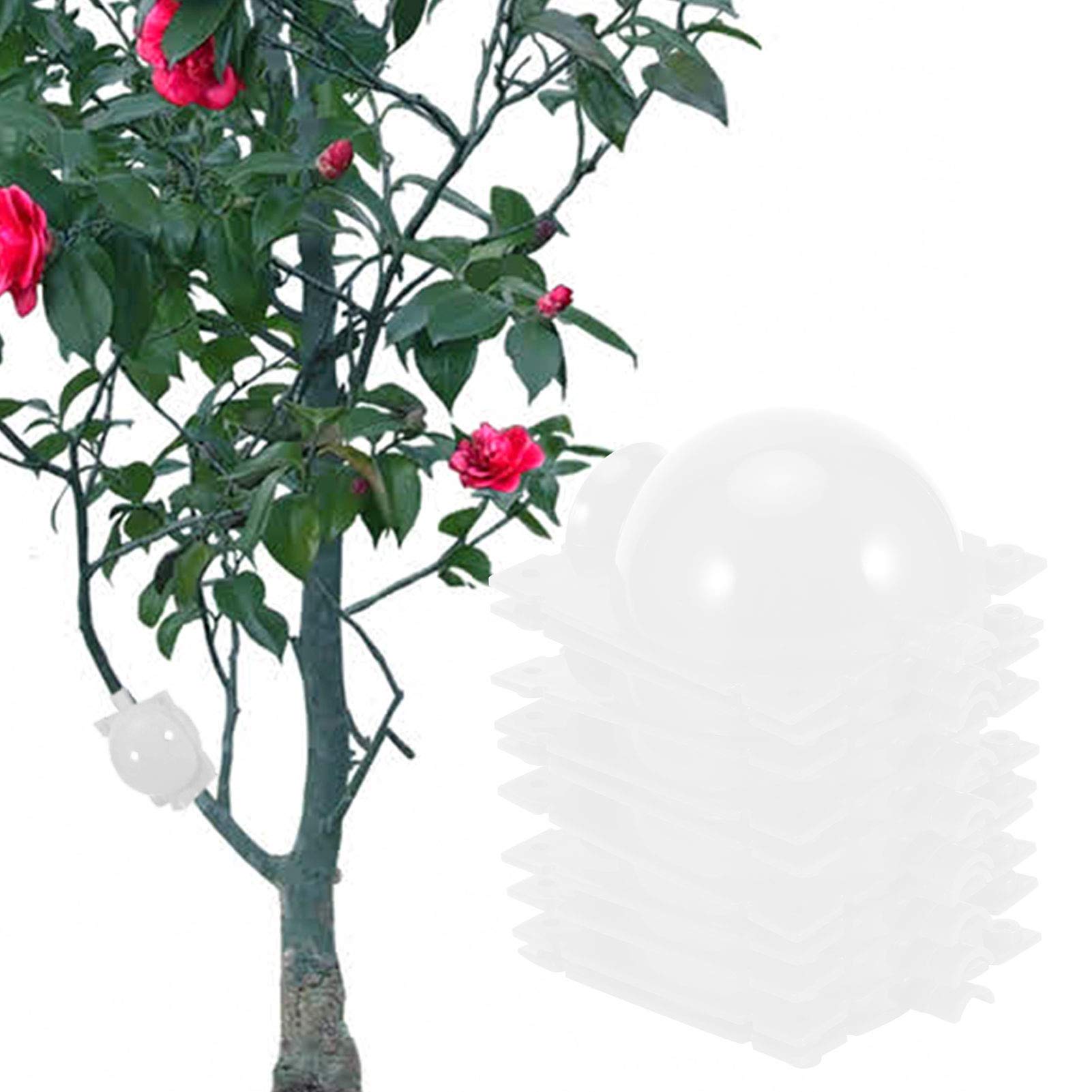 5-Pack Reusable Plant Rooting Propagation Balls - High Pressure Grafting & Cutting Rooting Device for Indoor/Outdoor Garden Plants - Clear Root Controller for Roses, Hydrangeas & More (Great for Hydroponics & Soil Propagation)