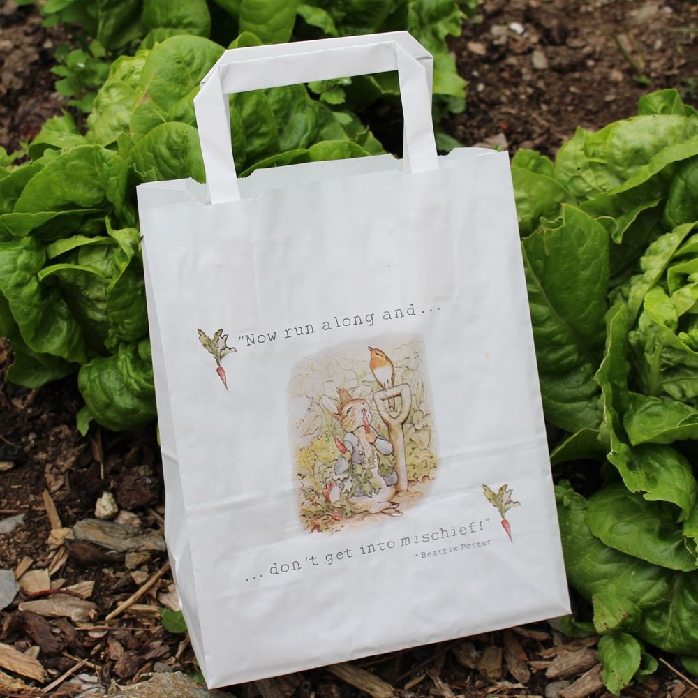 Peter Rabbit Party Favor Bags with Handles - Set of 10 White Gift Bags for Birthday Party Favors, Baby Shower, Easter Celebrations & Special Occasions