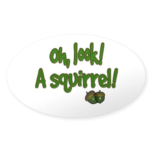 Clear - Look a Squirrel Oval Sticker