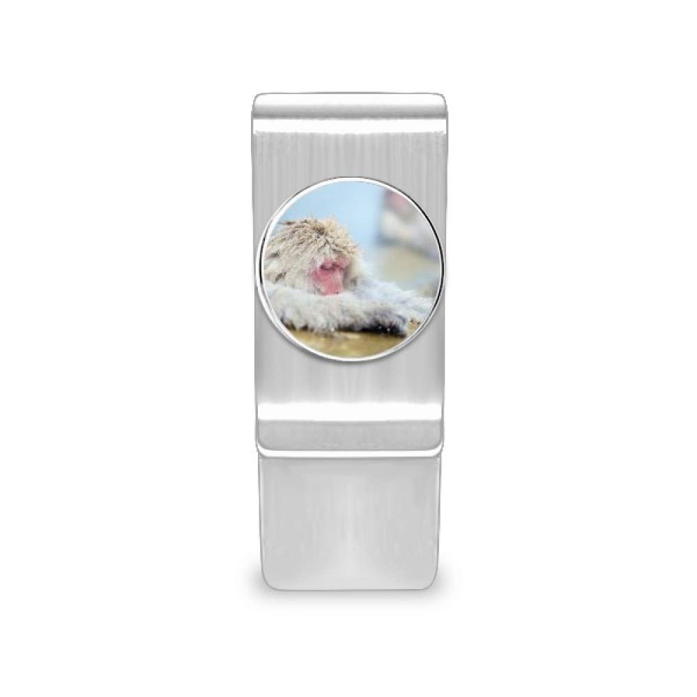 Animal Photography Money Clip - Monkey Organism Design Cash Wallet & Card Holder for Men - Perfect for Travel, Business, and Everyday Use