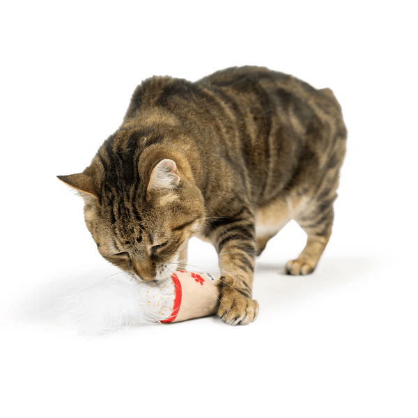 Huxley & Kent Meh' Nog Cat Toy - Interactive Catnip Toy for Kittens & Adult Cats - Perfect for Playtime, Training & Stress Relief