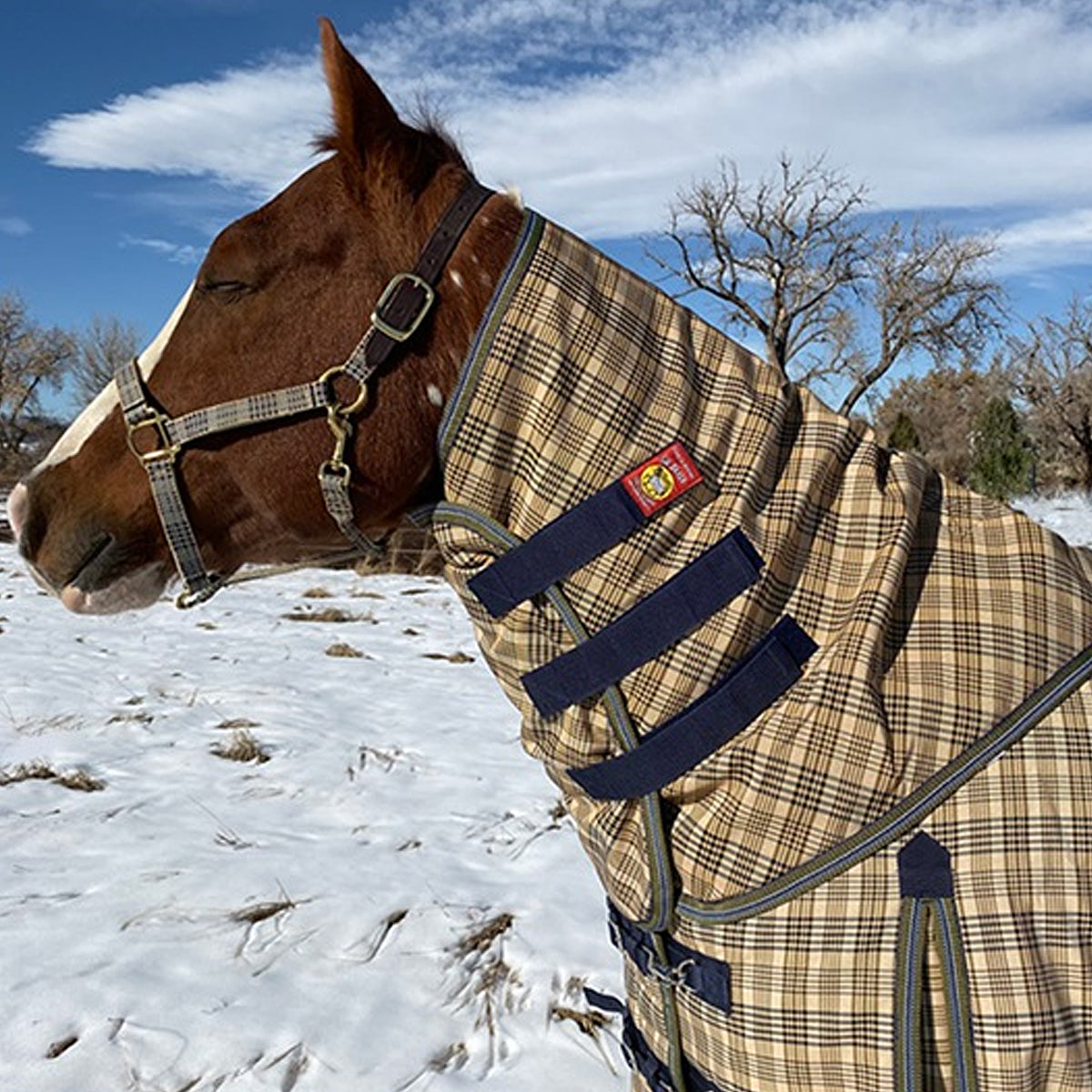 5A Baker Extreme Neck Cover 200g for Horse Turnout Blanket – Warm Winter Protection for Riding & Stable Use