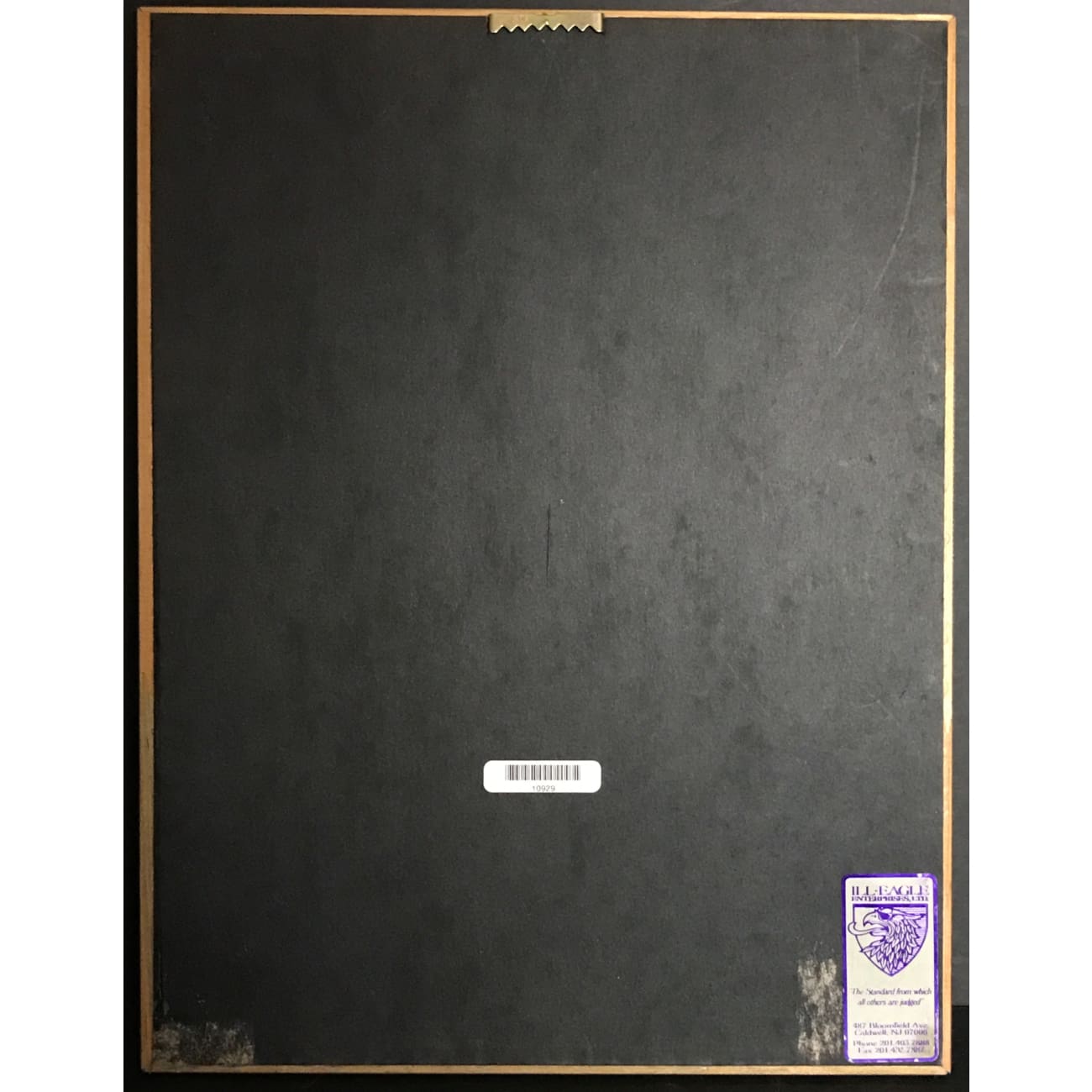 Aaron Hall The Truth RIAA Gold Album Award - Official Music Recognition Plaque for Display & Collectors - Perfect for Music Awards, Fan Gifts & Home Decor