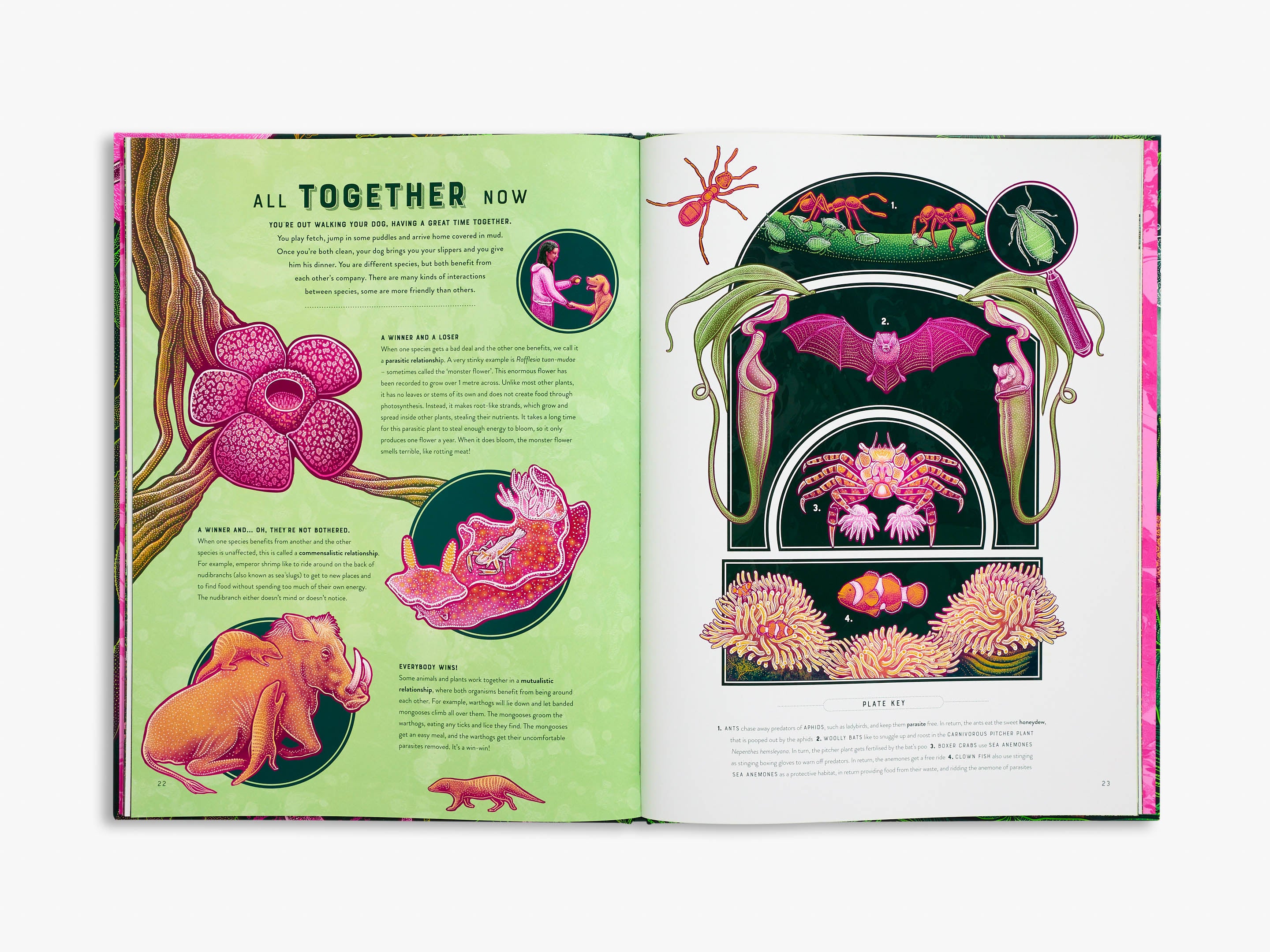 Life (Wild Wonders) - Explore Nature's Beauty | Perfect for Home Decor, Gifts & Wildlife Enthusiasts