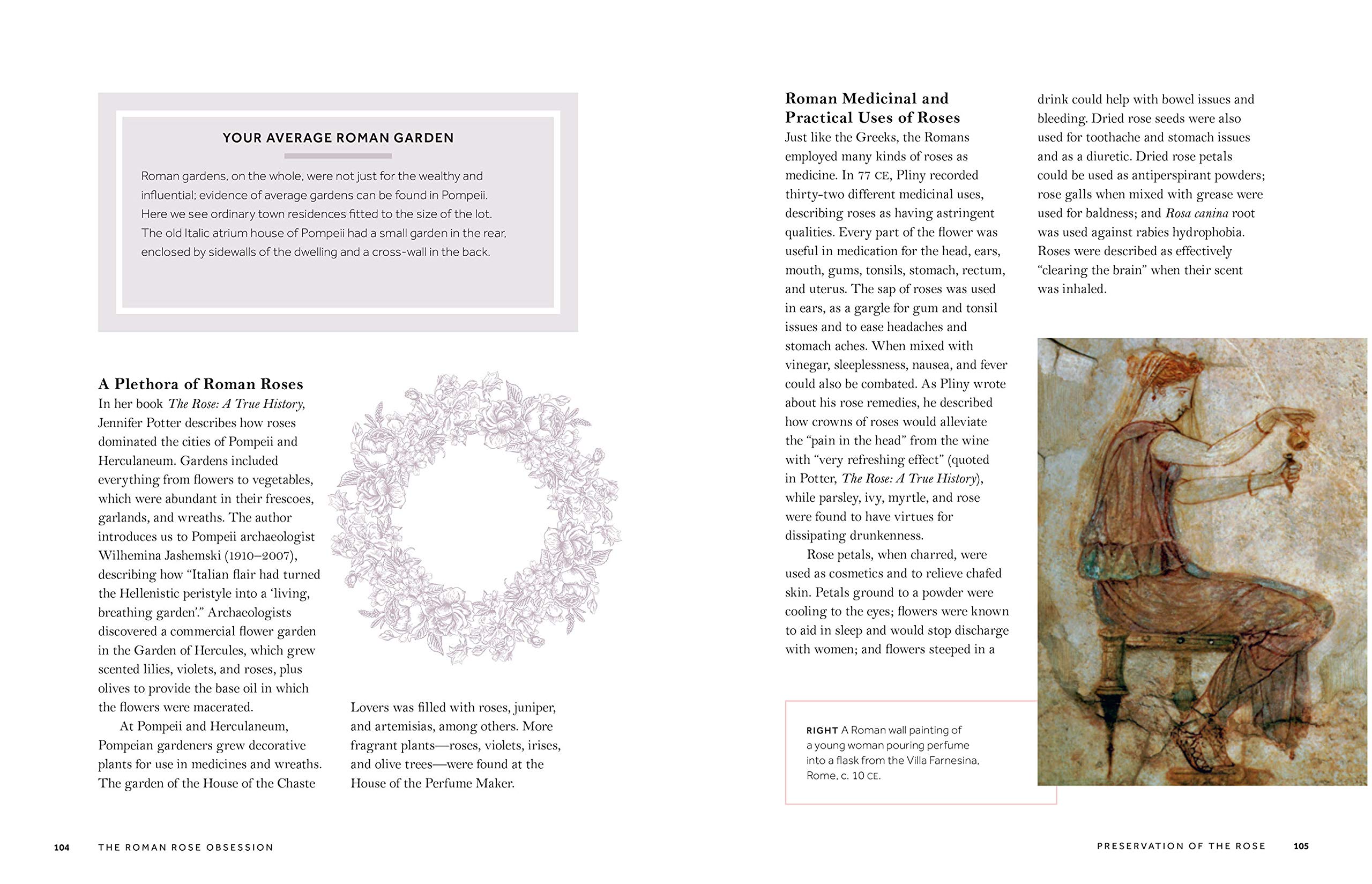 The Story of the Rose: History, Meaning & Symbolism of Rosa Flowers | Perfect for Gardens, Weddings & Home Decor