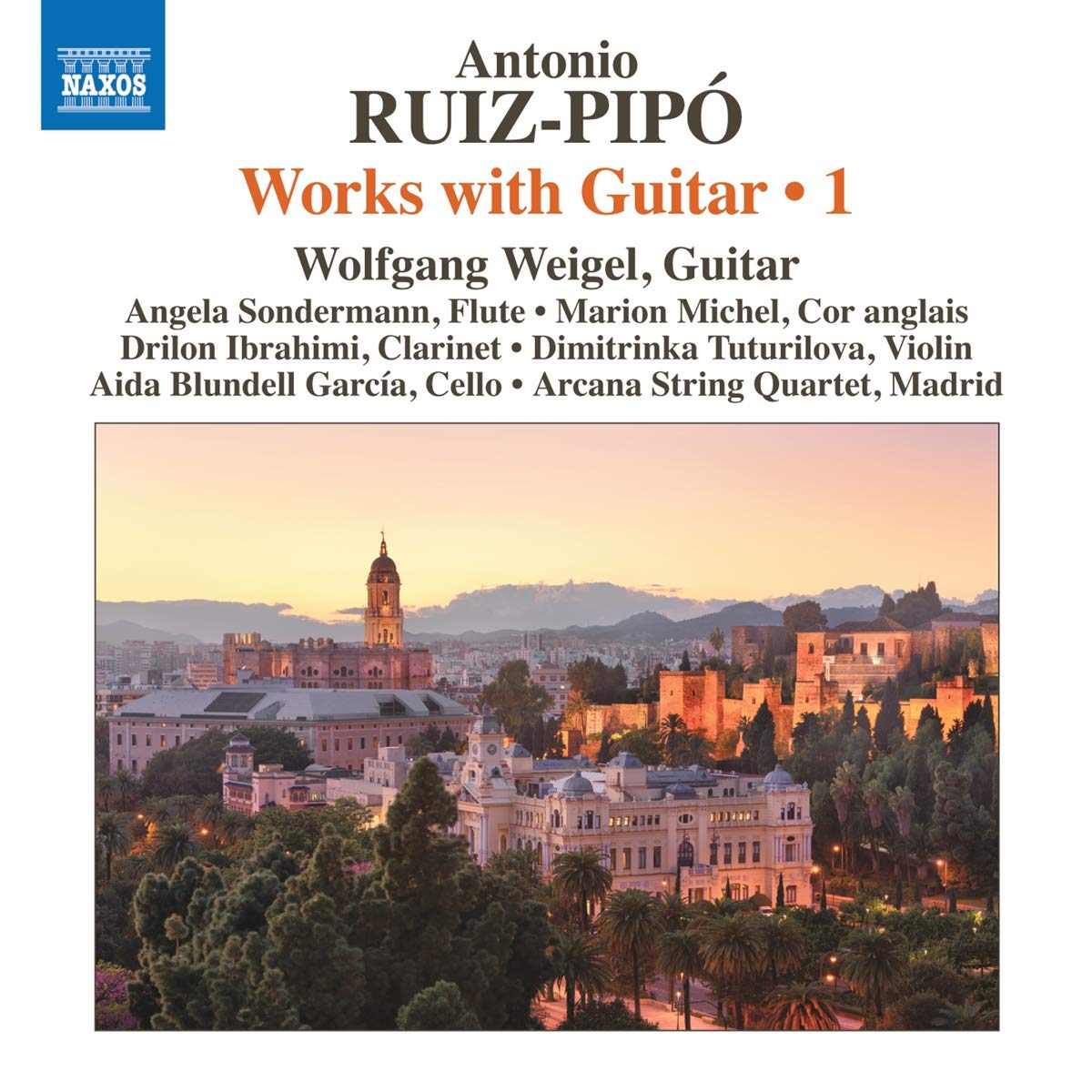 Guitar Accessories - Compatible with Guitar 1 | Perfect for Live Performances & Studio Recording