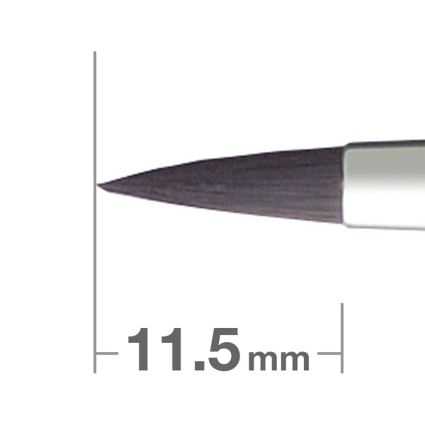 Pro Series 6S P Eyeliner [HC1550] - Long Lasting Waterproof Eyeliner Pencil for Smudge-Proof Makeup - Perfect for Daily Use, Parties & Special Occasions