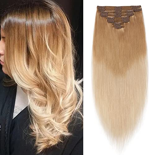 #18T613 Ash Blonde Ombre Bleach Blonde