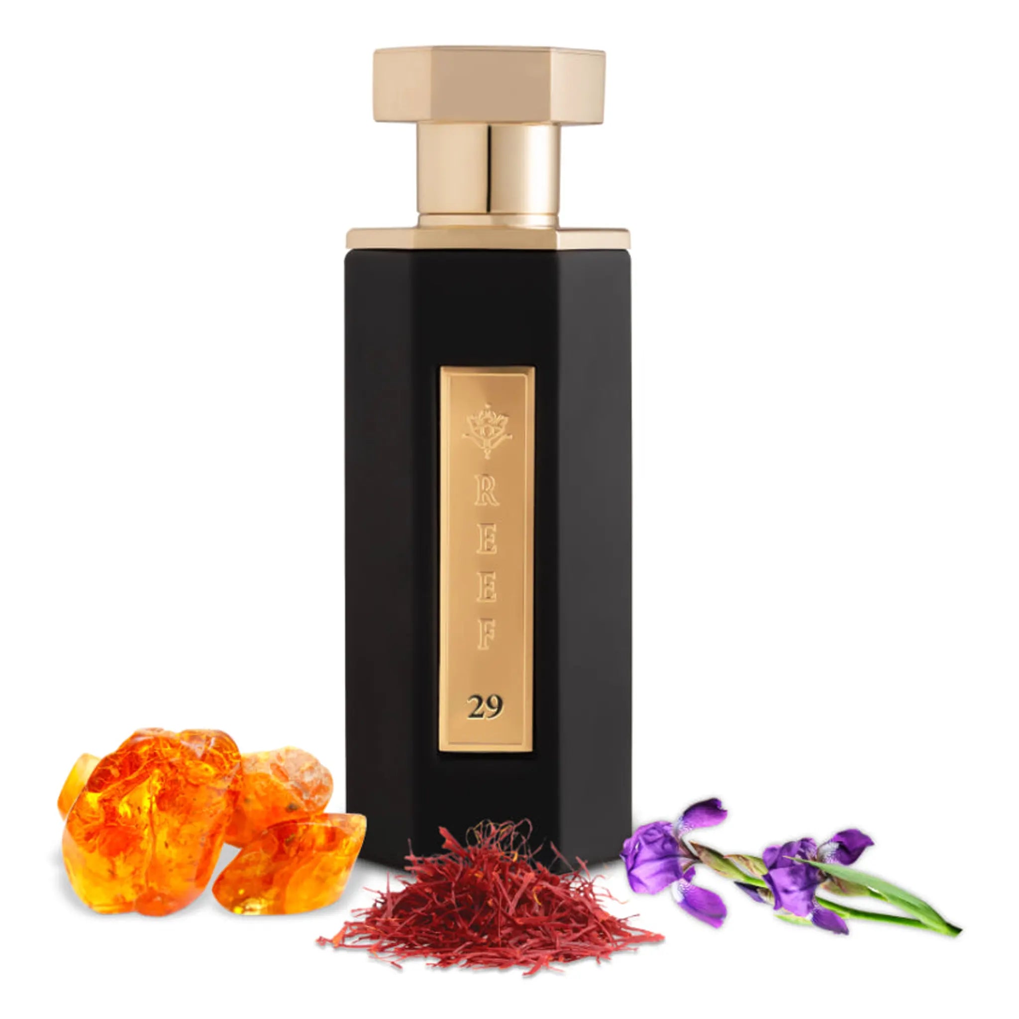 REEF 29 Eau De Parfum for Women & Men - 100ml Luxury Fragrance with Long Lasting Scent - Perfect for Date Night, Special Occasions & Everyday Wear