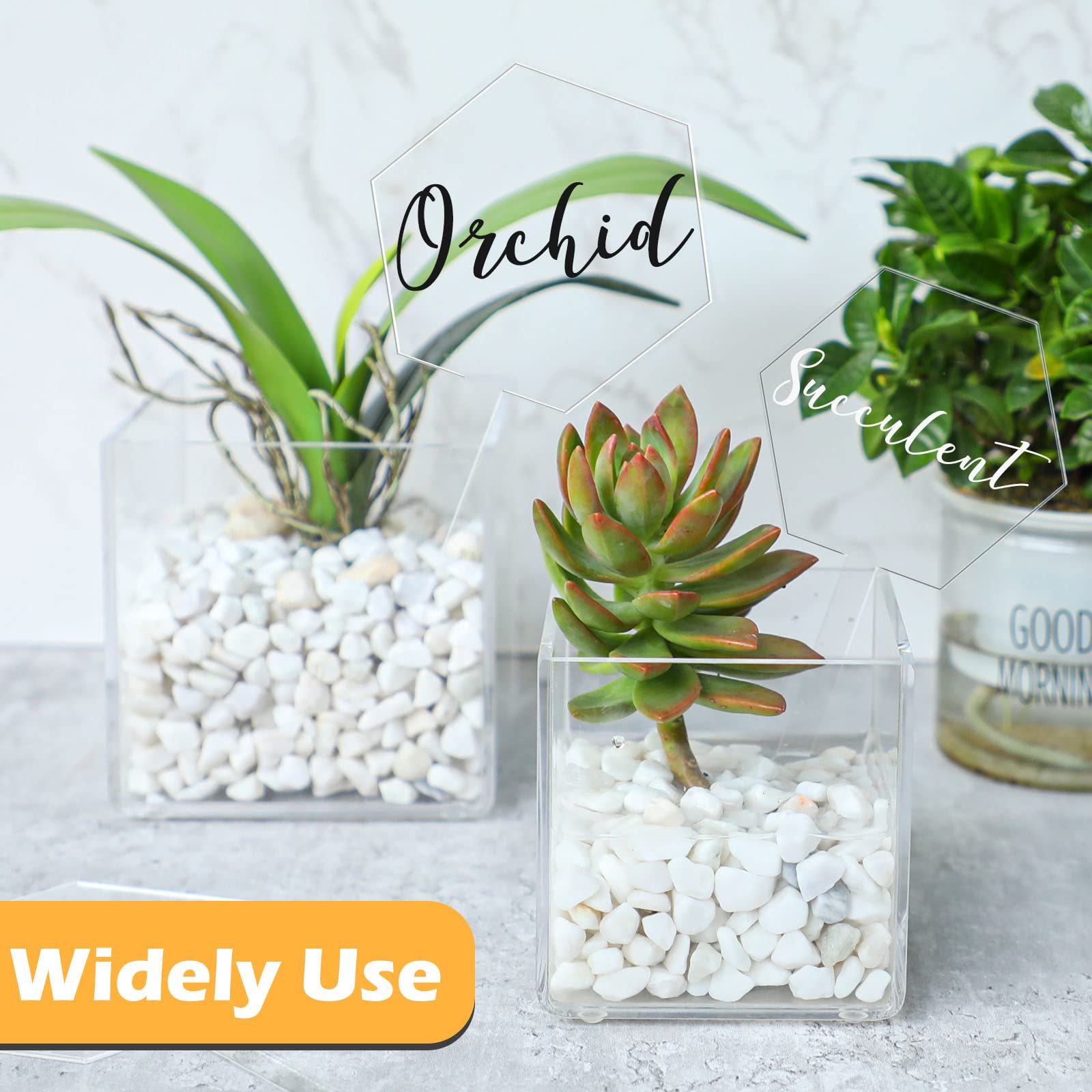 8-Piece Clear Acrylic Hexagon Cake Toppers Set (4x5