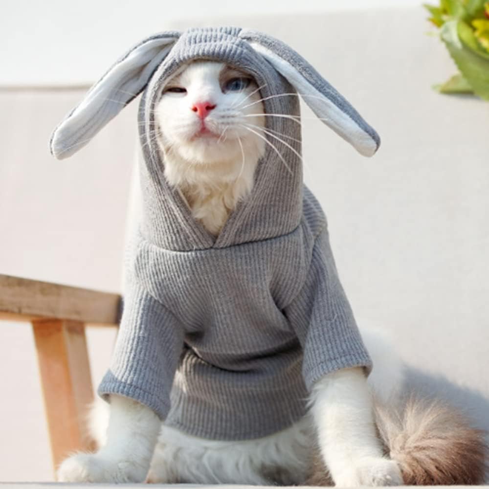 Funny Bunny Ears Dog Hoodie - Cute Pet Costume for Small Dogs & Cats - Grey Puppy Sweatshirt with Hood for Halloween, Christmas & Easter - Perfect for Holiday Photos & Pet Parties (Medium Size)
