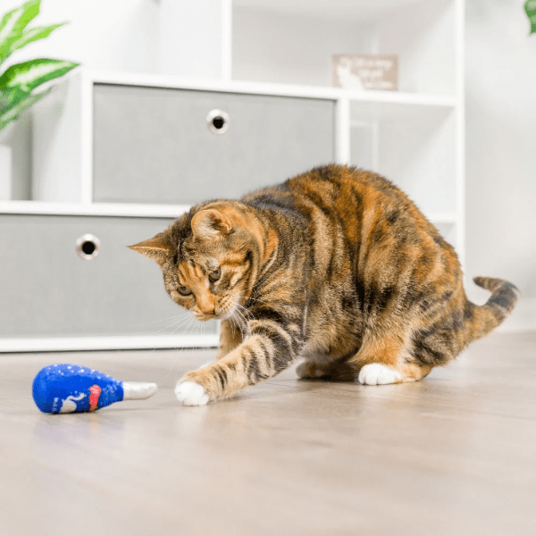 Premium Huxley & Kent Jelly Roll & Meowchewits Interactive Cat Toy - Fun Chew Toy for Kittens & Adult Cats - Perfect for Playtime, Training & Stress Relief