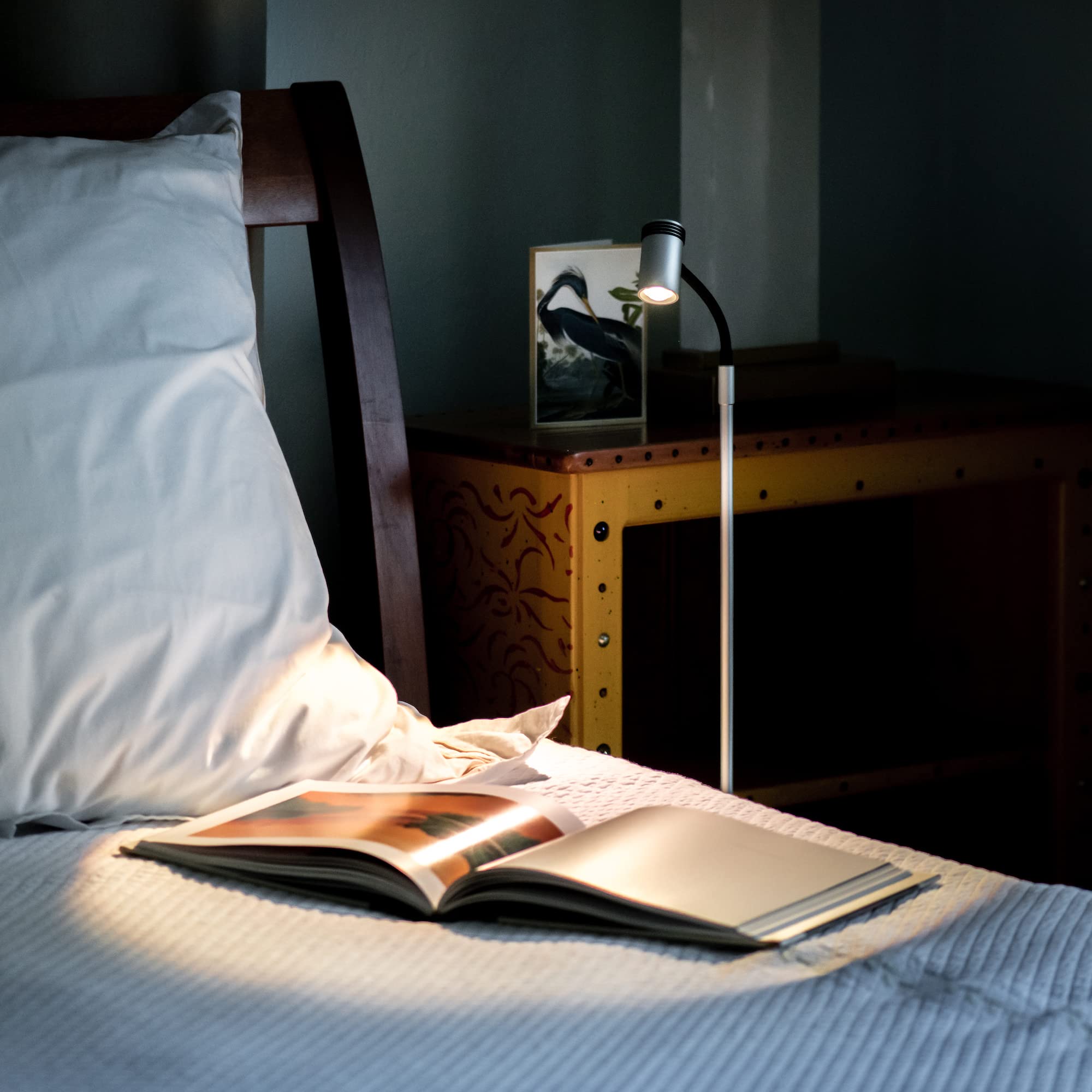 Rechargeable Cordless LED Light - Portable Reading Light for Books, Crafts, Grilling & Home Use - Perfect for Bedside, Camping, Garage & Nighttime Activities