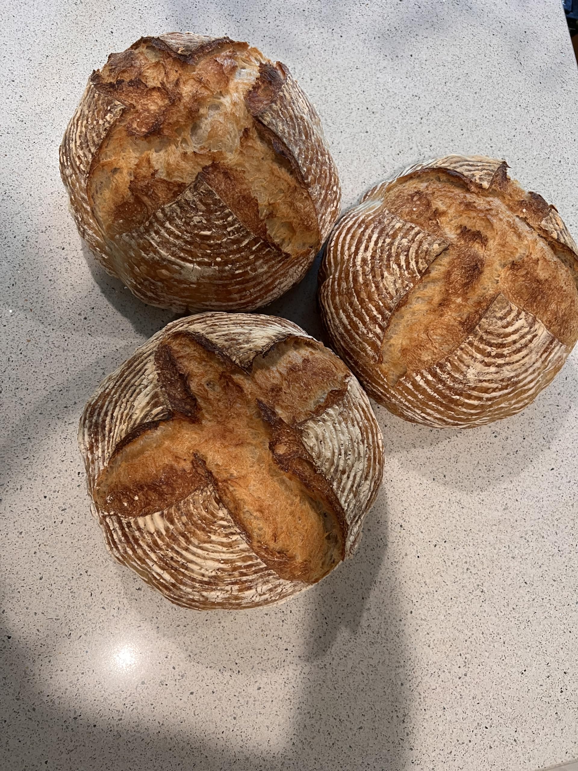 110+ Year Old All Natural Live Hungarian Sourdough Starter | 100g | Pre-Fed & Active Culture | Includes Artisan Bread Recipe | Perfect for Homemade Bread Baking & Sourdough Pizza