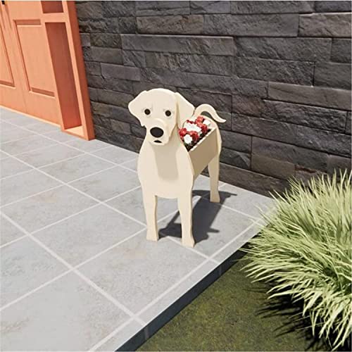 Labrador Retriever White